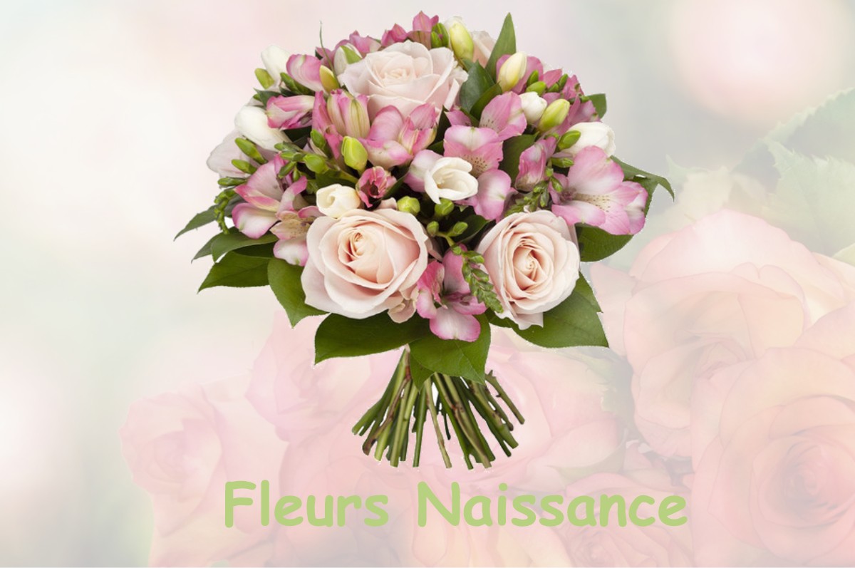 fleurs naissance CHAUX-CHAMPAGNY