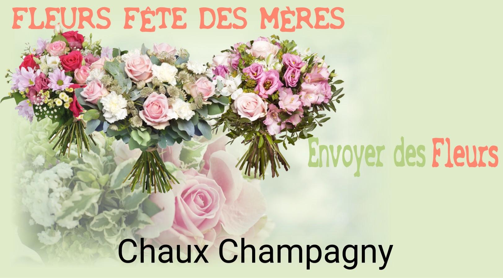 Bouquet de Fête des Mères livré à Chaux-Champagny